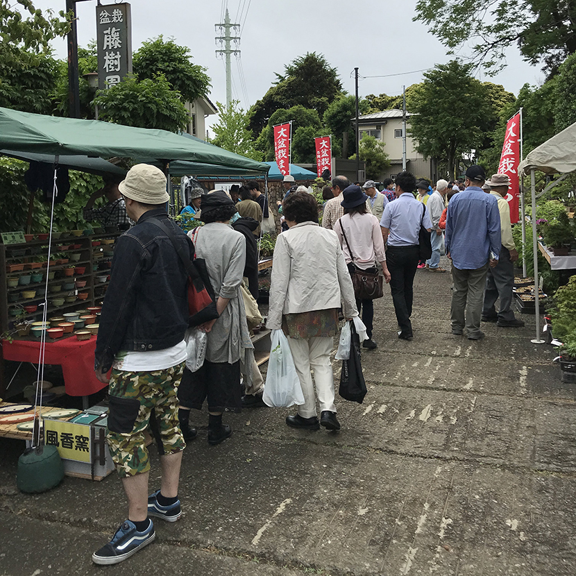 大盆栽まつり 大宮 Mini Bonsai Life ミニ盆栽 ライフ